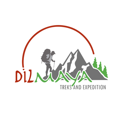 Dilmaya Treks & Expedition P. Ltd. logo